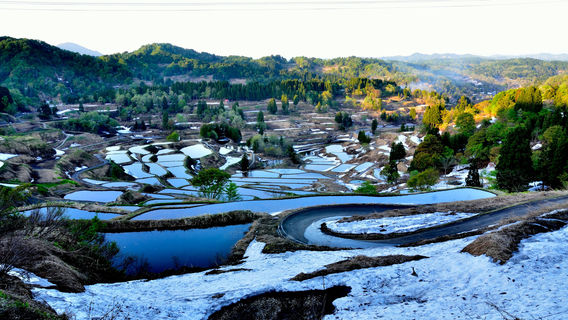 นาขั้นบันไดโฮชิโทเกะ