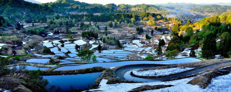 Hoshitoge Rice Terraces