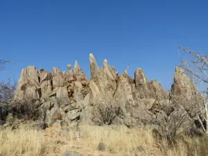 Rock Engravings at Peet Alberts Koppie
