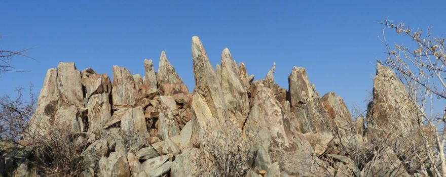 Rock Engravings at Peet Alberts Koppie