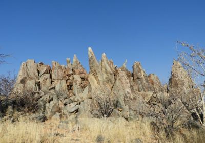 Rock Engravings at Peet Alberts Koppie