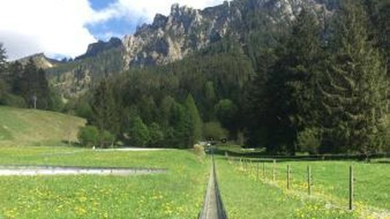 Schwangau