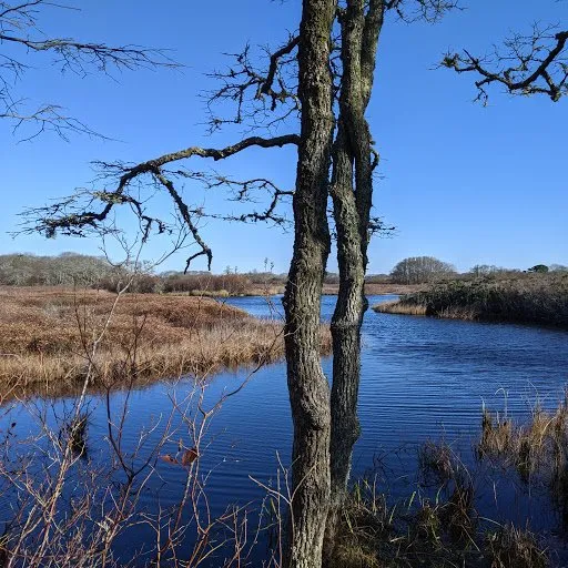 1_Nantucket Walkabout