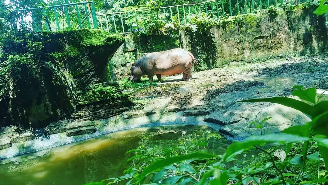 Các khách sạn gần Jurug Zoo