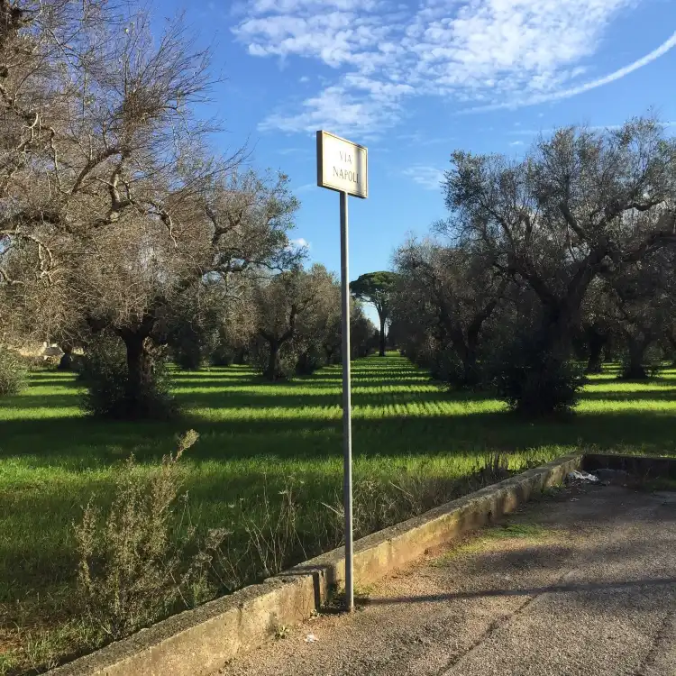 Hotels in Magliano