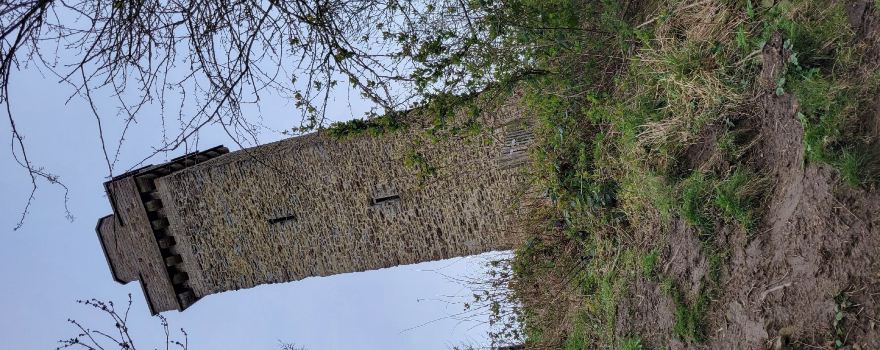 Flounders' Folly