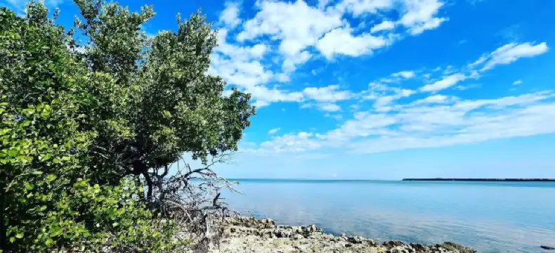 โรงแรมในTavernier