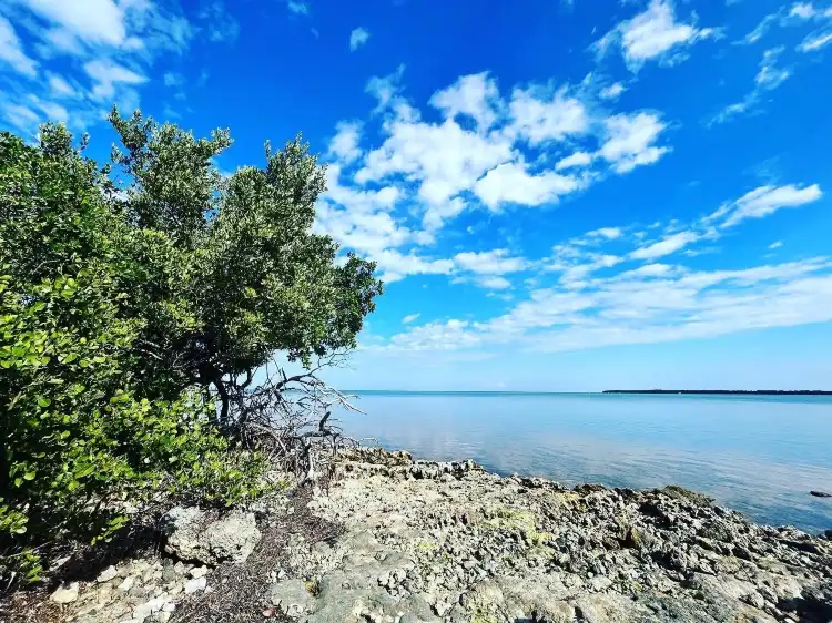 Hotels in Tavernier