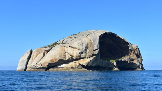 Refuge Cove Cruises