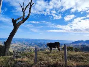 Pico da Raposa