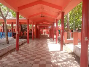 Pachnada View Point (The Pachnada Film Festival)