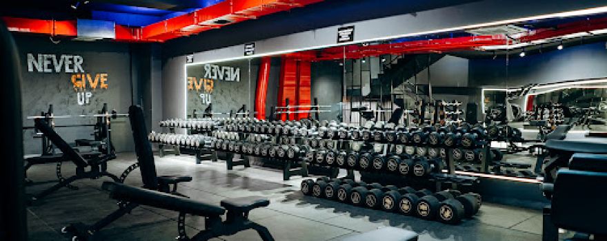 Lion Gym Spor Salonu