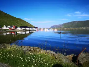 Skarsvåg
