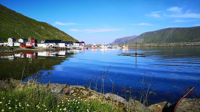Skarsvåg