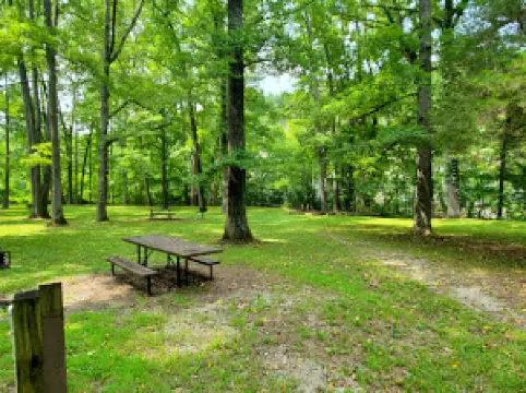 Buffalo River Trailhead - Pruitt