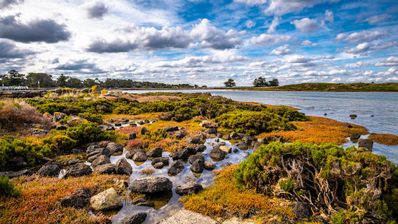 Griffiths Island Reserve