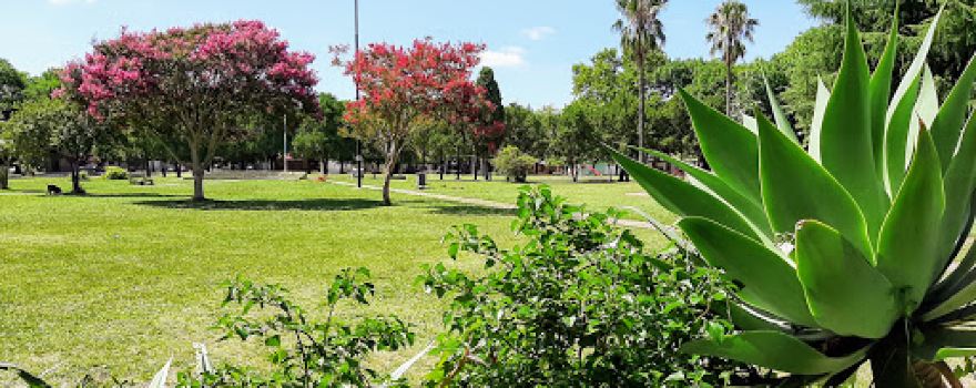 Plaza 25 de Mayo