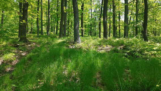 Naučná stezka Prabába