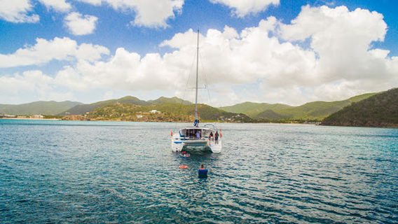 Catch The Cat Antigua