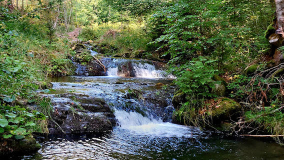 Zřícenina hradu Weissenstein