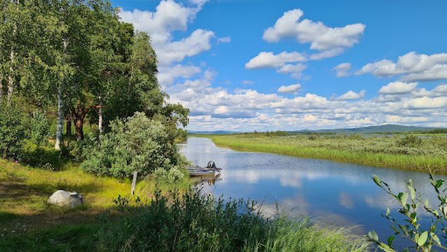 Øvre Pasvik nasjonalpark