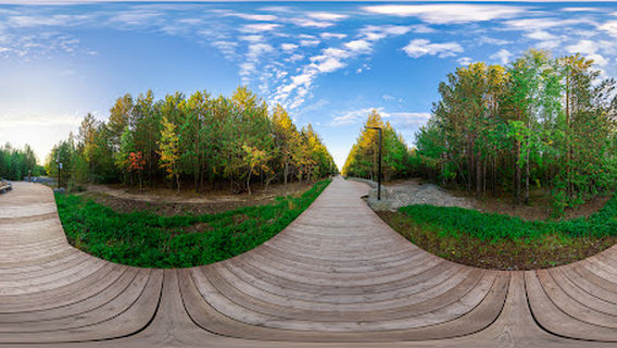 Surgutsky District