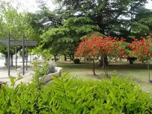 Plaza San Martin
