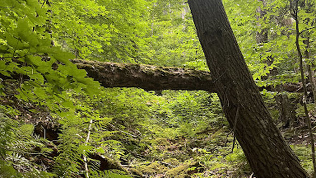 Platte Springs Pathway