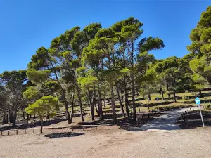 Balcó d'Alacant