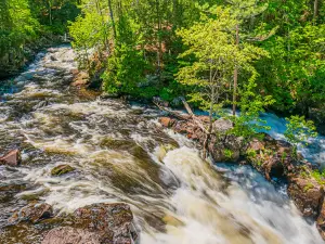 Eau Claire Gorge Conservation Area