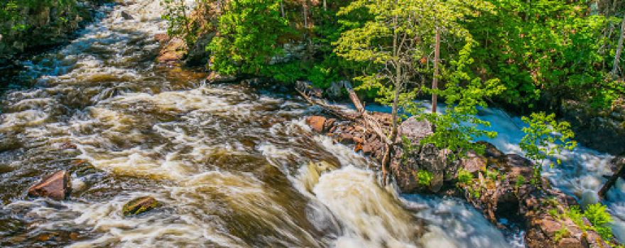 Eau Claire Gorge Conservation Area