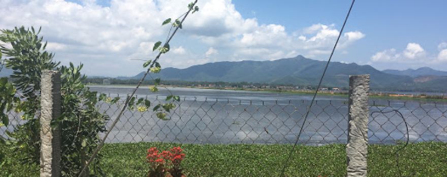 Khu Bảo Tồn Thiên Nhiên Đầm Trà Ổ