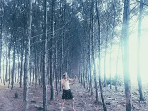 Pantai Muara Sekube