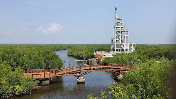 Wisata Hutan Mangrove Kota Langsa