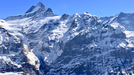 Grindelwald