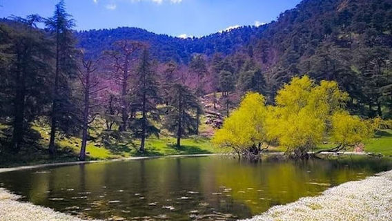 Theniet El Had TISSEMSILT