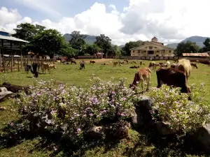Haipa Monastery (ဝတ်ႉႁၢႆးပႃ)