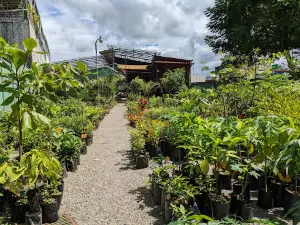 Viveros La Bonita