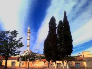 EL Falah