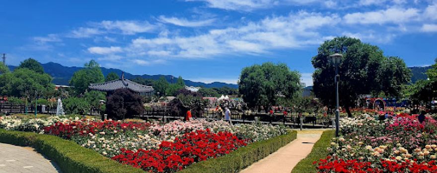Rose Park