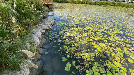 Tomigusuku Civic Gymnasium