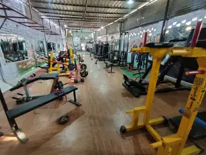 Patel traders