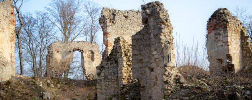 Burgruine Wildon
