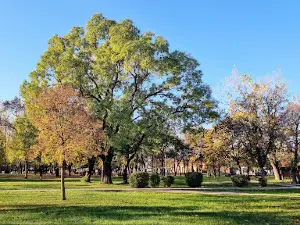 Bernolákov park