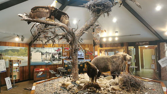 Kokanee Creek Provincial Park