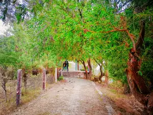 Samaspur Bird Sanctuary