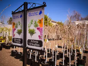 MacArthur’s Nurseries