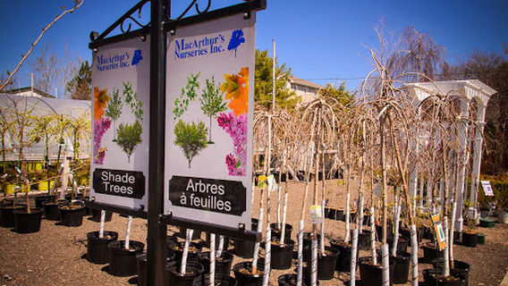 MacArthur’s Nurseries