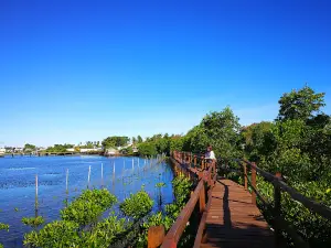 Paraiso Mangrove Eco Learning Park Marine and Wild Sanctuary