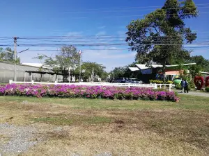 Udon melon farm